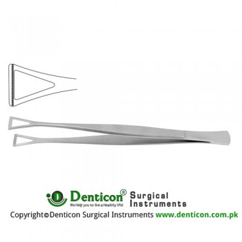 Collin-Duval Intestinal Forceps Stainless Steel, 20 cm - 8" Width 18.0 mm